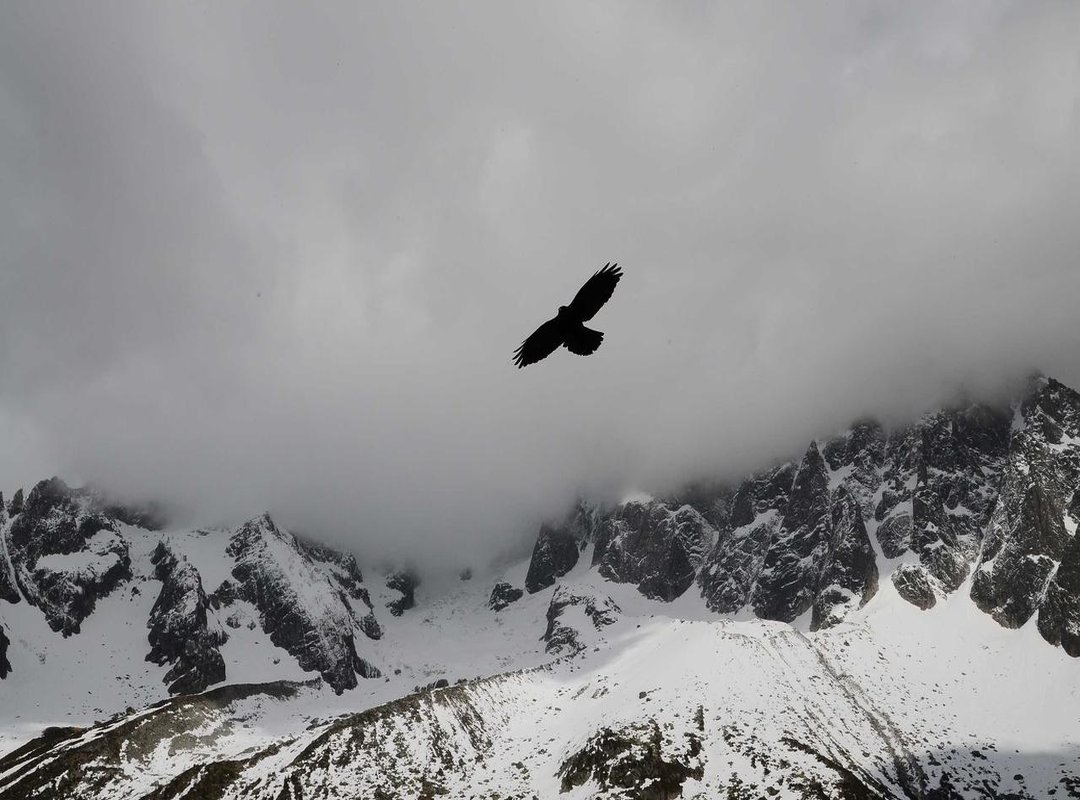 Your Choices, Their Fate: Navigating the Narrative Paths