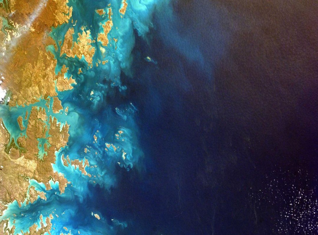 Step-by-Step: How to Download The Song on Your Phone in Under 2 Minutes