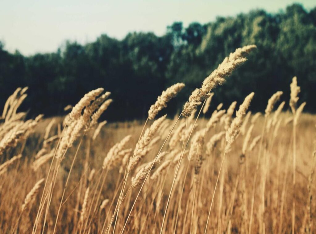 helppoja piirustus ideoita