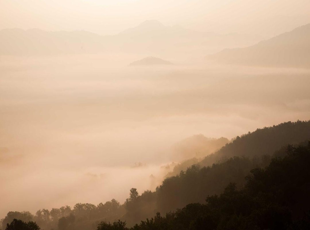 The Anime Question: Is an Adaptation on the Way?