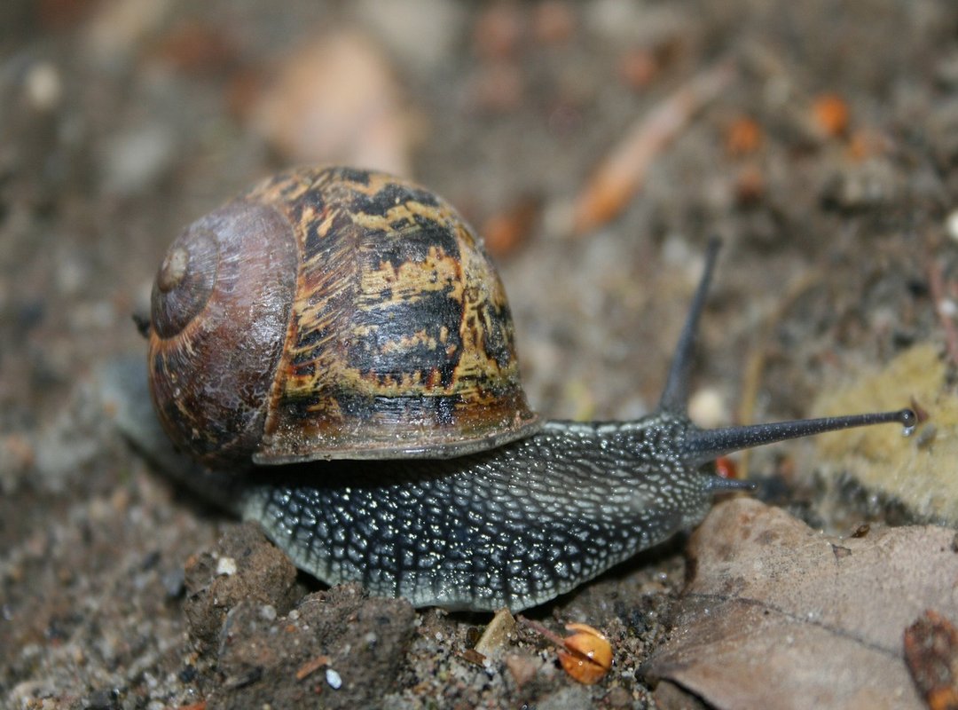 How to Get Started with Kunky NL in 3 Simple Steps