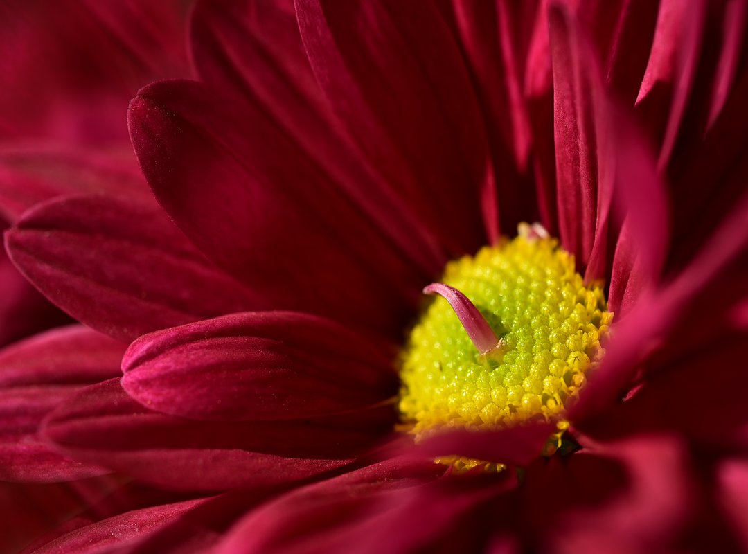 How to Use Lassana Wallpaper Photos