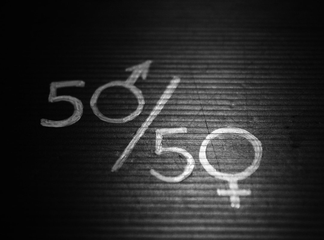 Analyzing Gender Roles and Representation in the Series