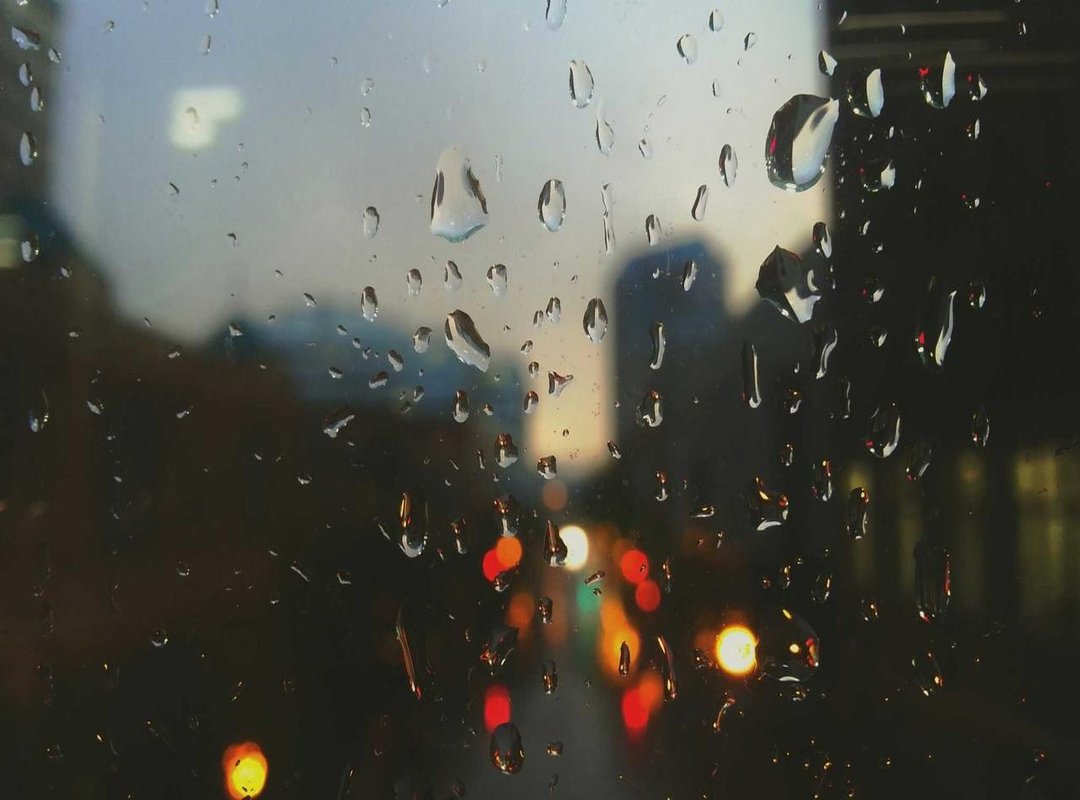 The Language of the Psalm: A Brief Introduction to Papiamento