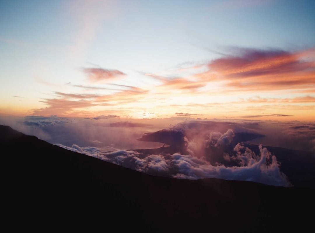 Troubleshooting: What to Do If You Can't Find the Bald Option