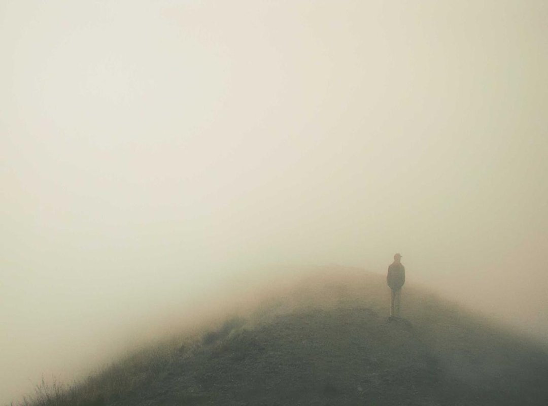 Price vs. Quality: Is This Jumbo Wine a Good Deal?